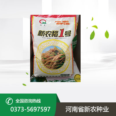 山东水稻种子