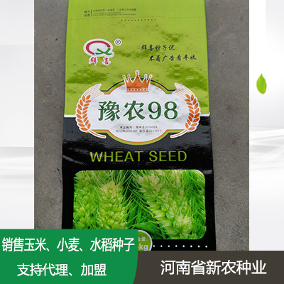 山东小麦种子代理