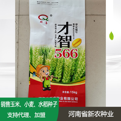山东小麦种子加盟