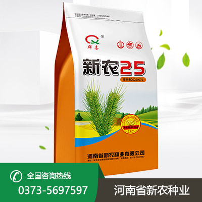 山东小麦种